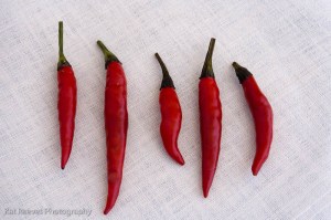 Peanut Noodles-091227-0002