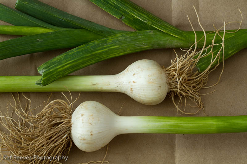 green garlic